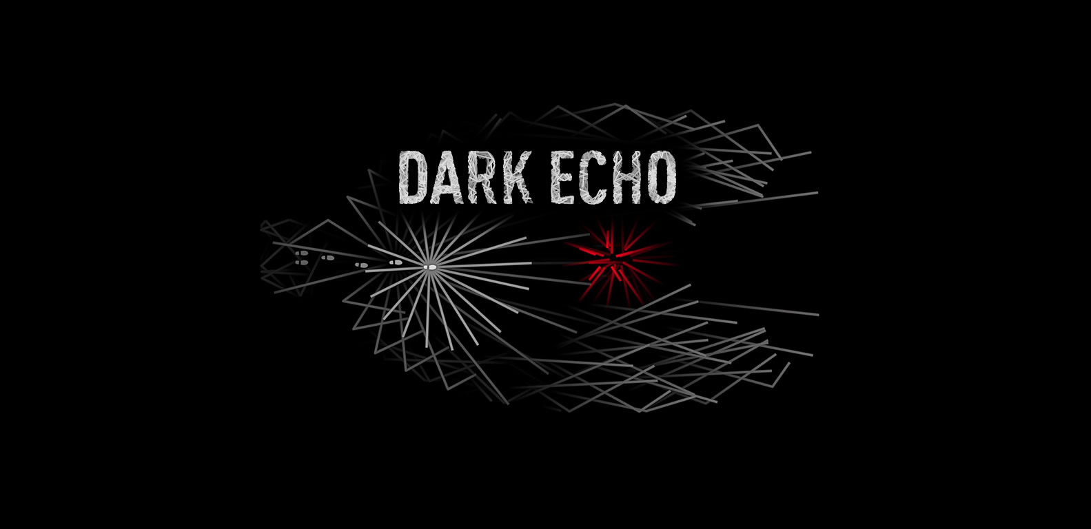 Echo