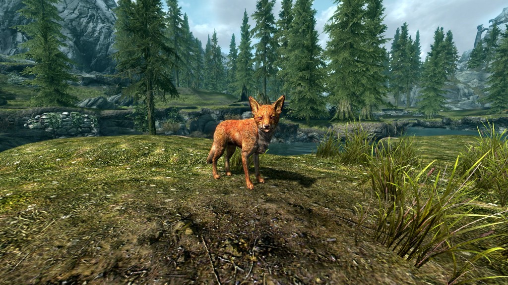 Skyrim Secrets Foxes Treasure